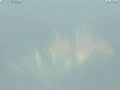 EARTHQUAKE by PROJECT HAARP? CHINA QUAKE 7.8