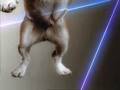 VITALIC: Poney Part 1