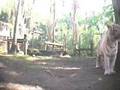 videos de Tundra...Our Girl