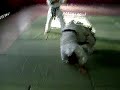 Kata Seipai Shito Ryu El Salvador Kata Seipai Shito Ryu El Salvador