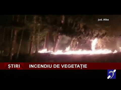 Incendiu de vegetație, în Alba