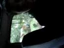 amanda driving
