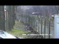 videos de KZ Gleiwitz I