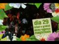 4º Festival da Natureza de Murici