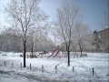 Muazzez Ersoy Erzurum