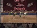 narbonne 2007