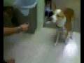 videos de Rudy Smoking