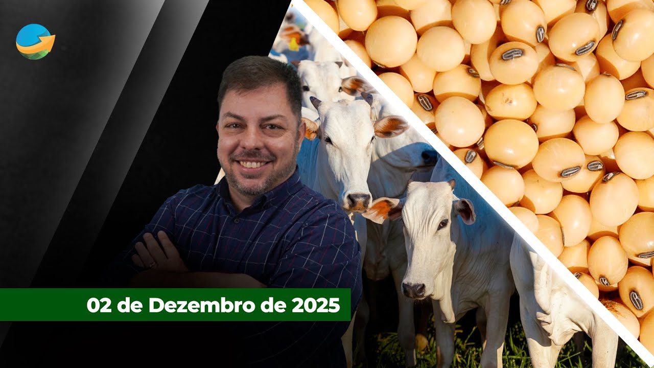 Soja inverte tendência e fecha no vermelho em Chicago; boi segue sustentado e com expectativa de...