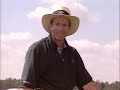 Perfecci�n por la Pr�ctica. David leadbetter