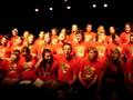 spectacle anim
