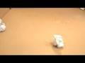 videos de snowball basket ball math (berkeley)
