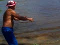 pesca de ejemplares cachama joeyblanco 673hotmail com