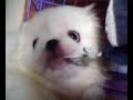 suet-8-of-8-19-oct-07.html