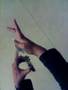 By-Jacob