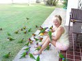 Feeding the Birds