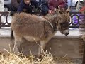 Aldea navideña en Alcalá