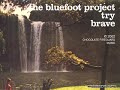 THE BLUEFOOT PROJECT: Try THE BLUEFOOT PROJECT: Try