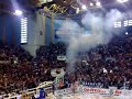 PAOK-roulis 2008 PAOK-roulis 2008