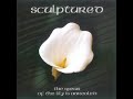 Sculptured - Almond Beauty