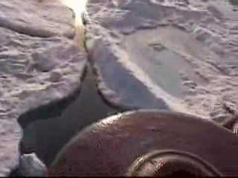 Travelling Through Ice Near Svalbard