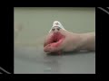 pharm-team-hammon-absorption.html