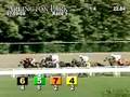 ARLINGTON PARK, 2008-07-09, Race 5