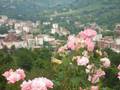 08 ARTVIN ATABARi