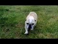 See video