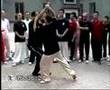 Yang He Fa Chen Taijiquan Tuishou