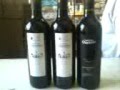 Dislac SRL:Producto:Vinossantiago queirolo