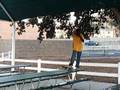 Jordons skating