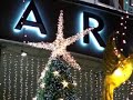 The Star Of Christmas