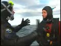 Tauchen mit Riesenhaien - Diving with basking sharks