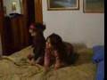 videos de Isa & Erica a Ceraso pasqua 2008