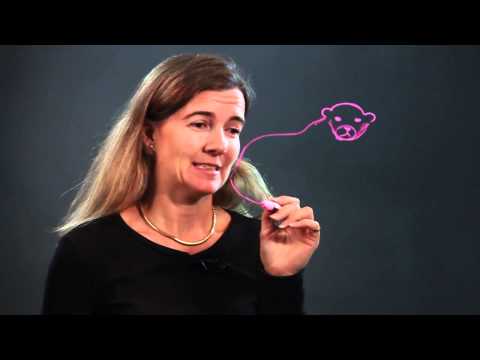 video-linktoworks-How to Draw a Sea Lion