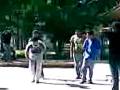 videos de Salamandra.3gp