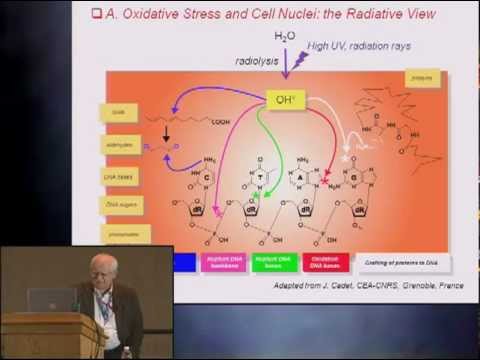 Pittcon 2012 – Measurement Tools for Reactive Oxygen and Nitrogen Species  – Abstract 1