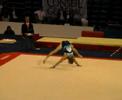 Willig Arnaud FX EF french nats Open 2008