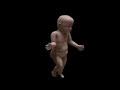 pitbull ay chico sottospora hip hop remix pitbull ay chico sottospora hip hop remix