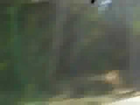 crazy marcian(felipe-carlos)