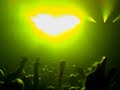 Tiesto - Kansas City - Part 5