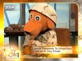 Pentagon Reports Army Mascot 'Liberty' Killed in Iraq