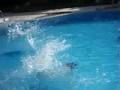 videos de zeky as michael phelps مايكل فيليبس
