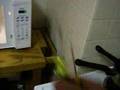 how to use microwave with door open