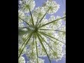 Just Breathe images