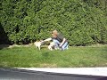 Jeanne & puppies on lawn 1st time at home