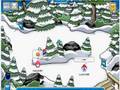 training for the penguin games