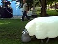Mower at Wired NextFest 2008 Take Two