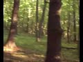 Stony Creek Quarry Trail