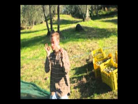 Video of B&B-Farm Forestaria